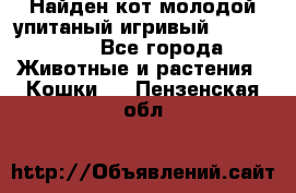 Найден кот,молодой упитаный игривый 12.03.2017 - Все города Животные и растения » Кошки   . Пензенская обл.
